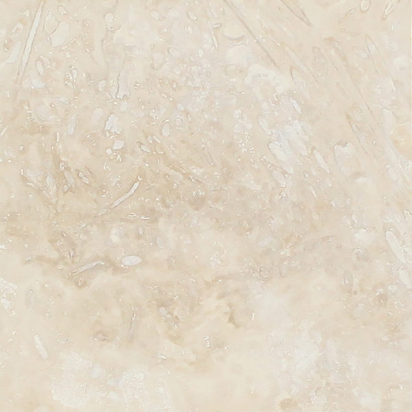 IVORY-600×600 IVORY-600×600