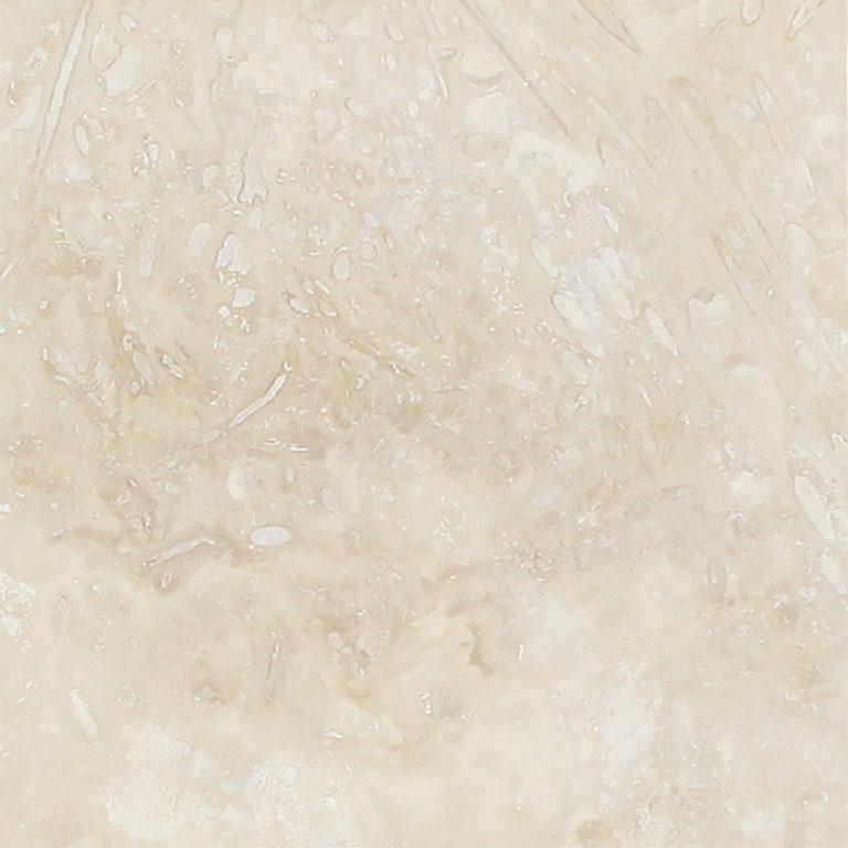 IVORY-768×768 IVORY-768×768
