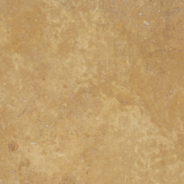 NOCE-600×600 NOCE-600×600