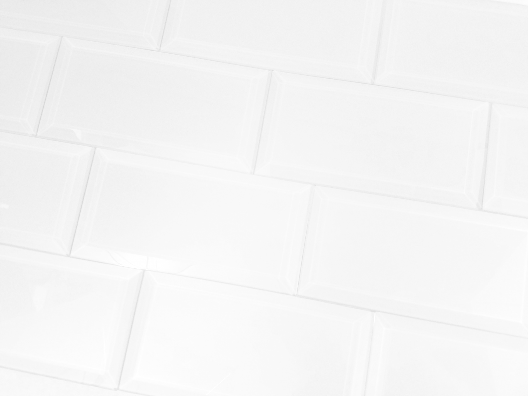 BGM1209_whsfeg0306-is_5 BGM1209_whsfeg0306-is_5